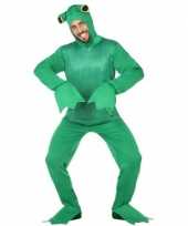 Groene kikker dieren verkleedpak voor volwassenen